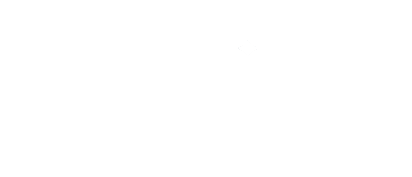 Meetlight white logo