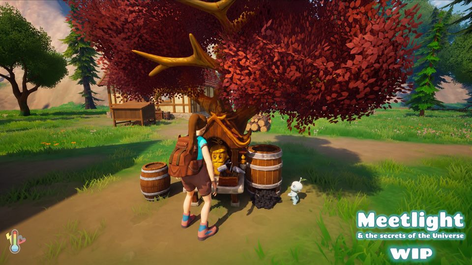 Anna trading beneath a red-leaf tree